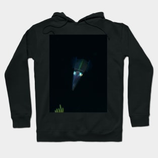 Squid at Night Hoodie